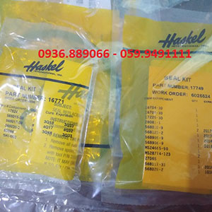 Seal kit thay thế trong bơm Haskel