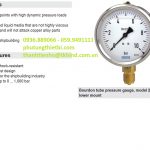 Những đặc tính cần biết của Đồng hồ đo áp suất WIKA - Model 213.53